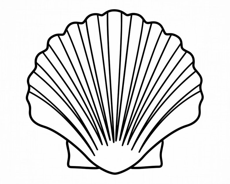 Seashell Design Outline Svg Seashell Svg Sea Shell Svg | Etsy New Zealand