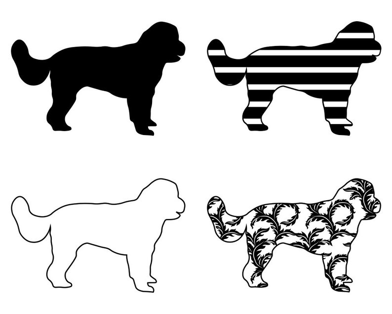 Cavapoo SVG Bundle Cavoodle PNG Dog Design Pet Canine Logo Mascot
