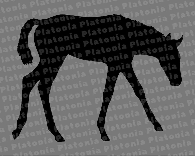 Free Free 215 Baby Farm Animals Svg Files SVG PNG EPS DXF File