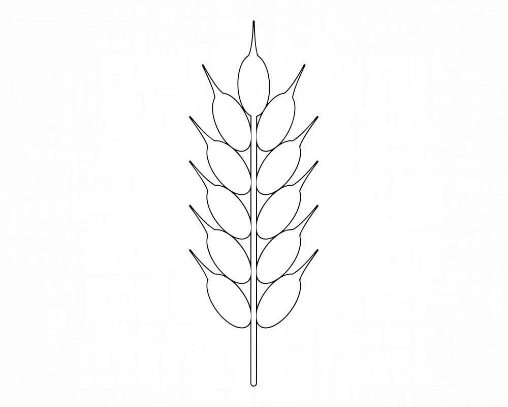 Wheat Outline Svg Wheat Svg Grain Svg Wheat Cut Files | Etsy