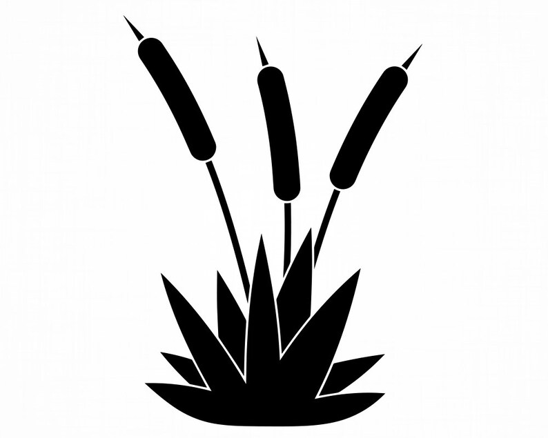 Bull Rushes Svg Paper, Party & Kids Dxf Bull Rush Plant Clipart Bull Rush Plant Png ...