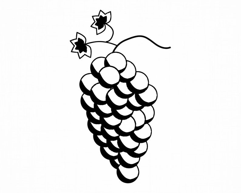 Free Free Fruit Svg Cut File 536 SVG PNG EPS DXF File