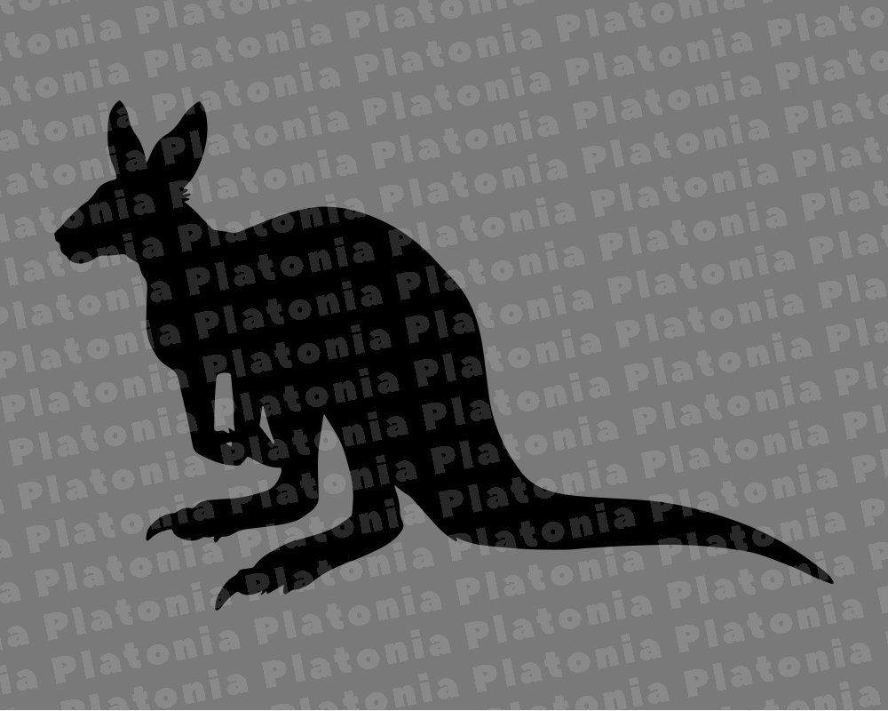 Download Kangaroo 4 Svg Marsupial Australian Animal Svg Clipart Cut Etsy PSD Mockup Templates