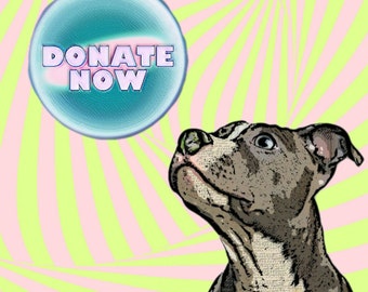 Give an extra donation!