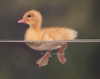 Duckling- Giclee art print on archival paper of my original pastel painting