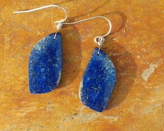 S-shaped Blue  Lapis Lazuli earrings