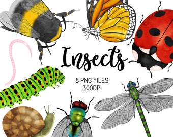 downloadable images stickers pack scrapbook paper,stickers vintage beetles bugs clip art,Insect leaf cliparts PNG