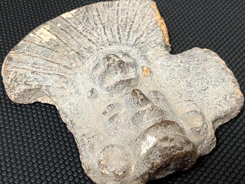 Egyptian Greek Roman Terracotta artefact statue funerary 画像 2