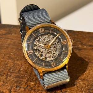 Pierre Lannier 321B038 Men Skeleton Dial Automatic Watch, Classic Dress Casual Timepiece, Transparent Mechanical , Stylish Gift