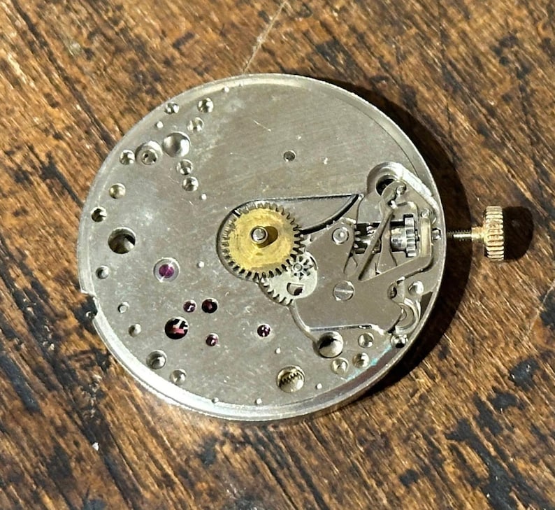 Pu&ograve; includere: Primo piano di un movimento di orologio, che mostra ingranaggi intricati, gioielli e una corona di carica. Il meccanismo color argento presenta un ingranaggio dorato e diversi piccoli gioielli rossi. Il movimento dell'orologio &egrave; su uno sfondo di legno.