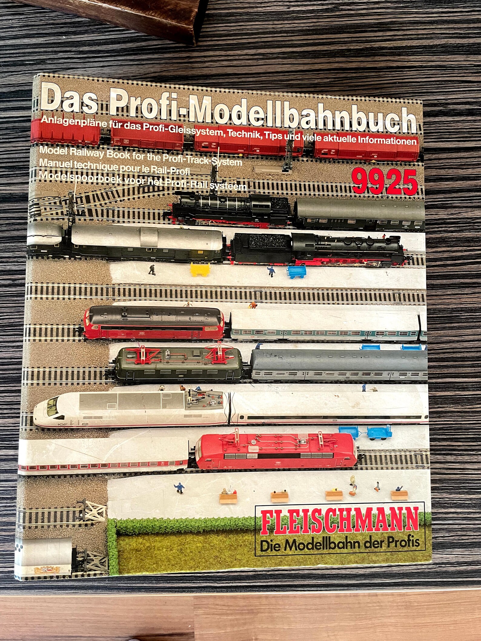Fleischmann 9925 Professionelles Modell eisenbahnbuch HO | Etsy