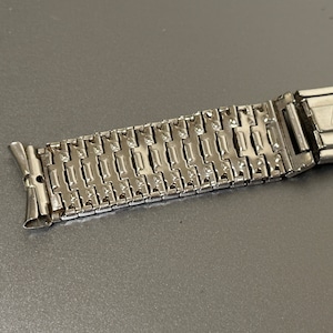 May include: A silver watch band with a clasp that says "Cham Stainless".