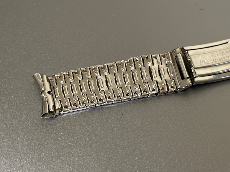 May include: A silver watch band with a clasp that says "Cham Stainless".