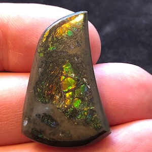 Könnte beinhalten: Ein tropfenförmiger, irisierender Opal-Cabochon mit einer dunkelgrauen Basis und grünen, goldenen und roten Farbschimmern.