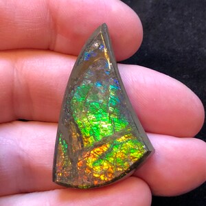 Könnte beinhalten: Ein ammolitischer Edelstein-Cabochon in spitzer Form mit schillernden Farben in Grün, Blau und Orange.