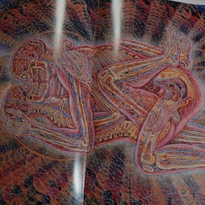 Alex Grey's Art Book Sacred Mirrors Skeletal Vascular Systems Symbolizing Sacred Esoteric Forces of the Body image 3
