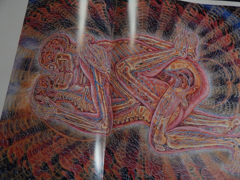 Alex Grey's Art Book Sacred Mirrors Skeletal Vascular Systems Symbolizing Sacred Esoteric Forces of the Body image 3