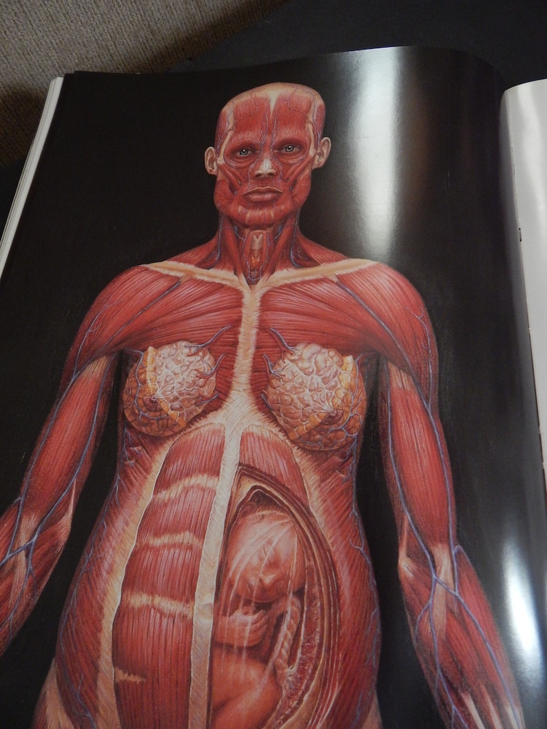 Alex Grey's Art Book Sacred Mirrors Skeletal Vascular Systems Symbolizing Sacred Esoteric Forces of the Body image 7