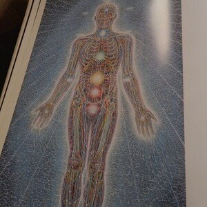 Alex Grey's Art Book Sacred Mirrors Skeletal Vascular Systems Symbolizing Sacred Esoteric Forces of the Body image 9