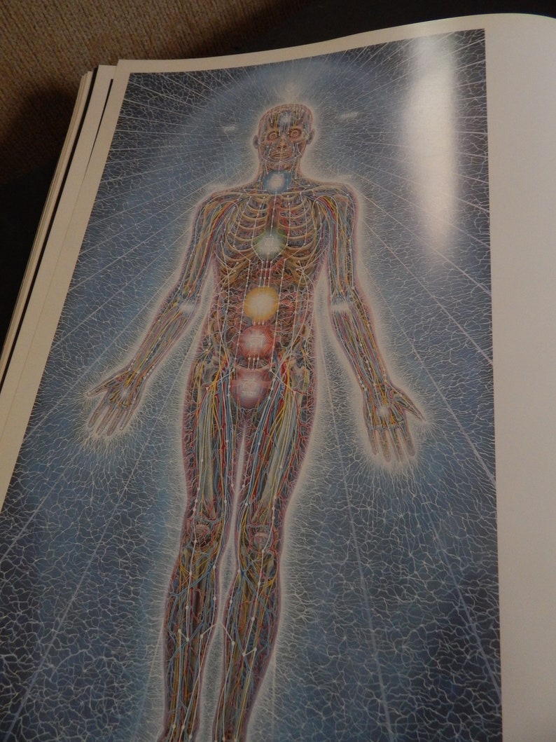 Alex Grey's Art Book Sacred Mirrors Skeletal Vascular Systems Symbolizing Sacred Esoteric Forces of the Body image 9