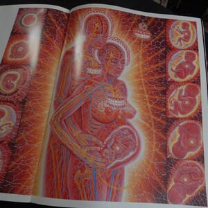 Alex Grey's Art Book Sacred Mirrors Skeletal Vascular Systems Symbolizing Sacred Esoteric Forces of the Body image 6