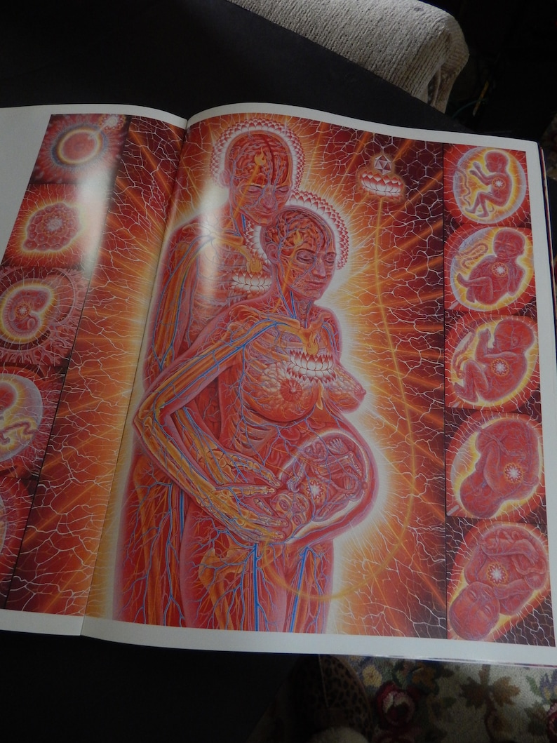Alex Grey's Art Book Sacred Mirrors Skeletal Vascular Systems Symbolizing Sacred Esoteric Forces of the Body image 6
