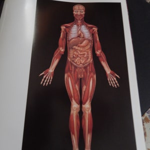 Alex Grey's Art Book Sacred Mirrors Skeletal Vascular Systems Symbolizing Sacred Esoteric Forces of the Body image 5