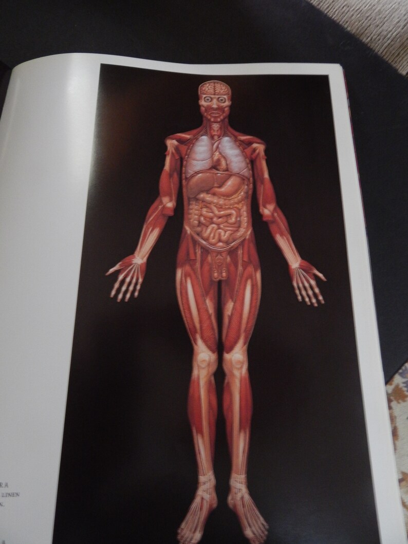 Alex Grey's Art Book Sacred Mirrors Skeletal Vascular Systems Symbolizing Sacred Esoteric Forces of the Body image 5