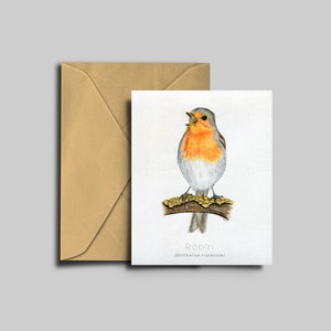 Carte Robin, carte postale, eco friendly, illustration oiseau, décoration chambre d'enfant