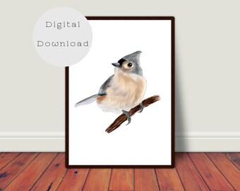 Tufted titmouse illustration printable, DIY, animal art print, nature poster, nursery decor animals, wall art bird, bird art print, decor