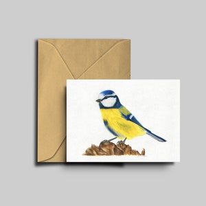 Blaumeise Karte, Postkarte, umweltfreundlich, Grußkarte, Illustration, Vogel