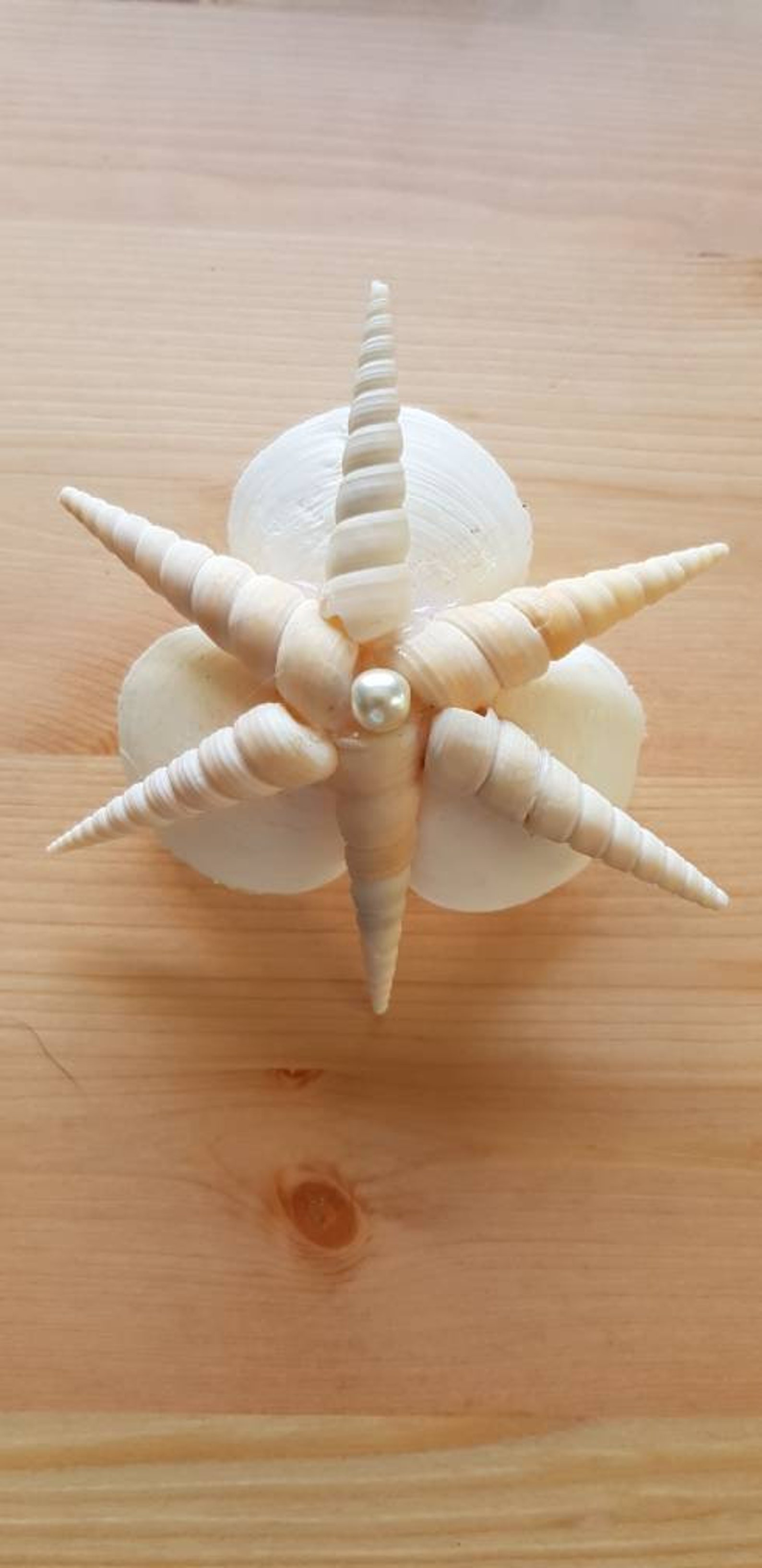 Seashell hair clip hair accessories wedding hair beach Etsy