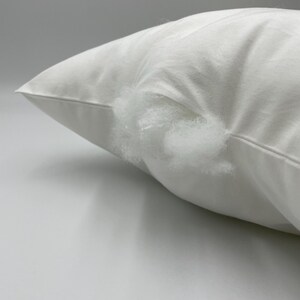 May include: A white pillow with a tear in the fabric, revealing the white filling inside.