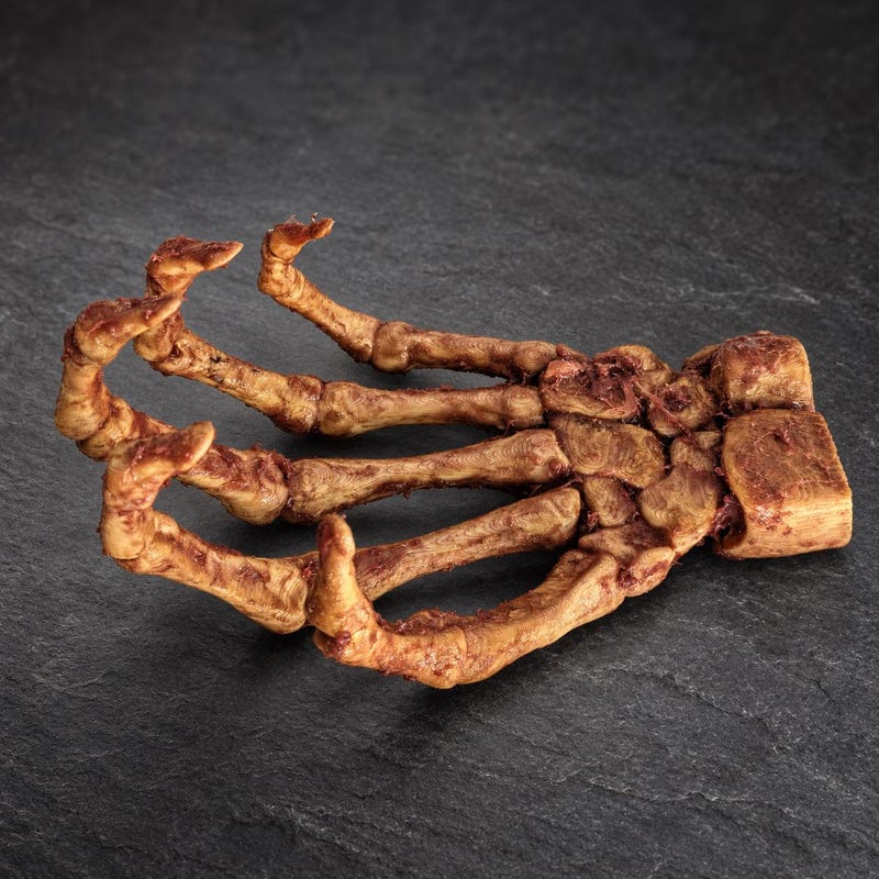 Skeleton Hand Horror Prop - Etsy