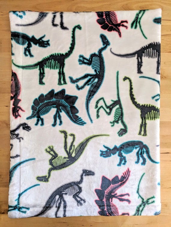 dinosaur baby blanket