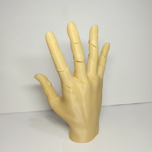 3d Printed Hand Jointed Movable posable sign fist life size severed scary hand maneqin body parts Left and Right