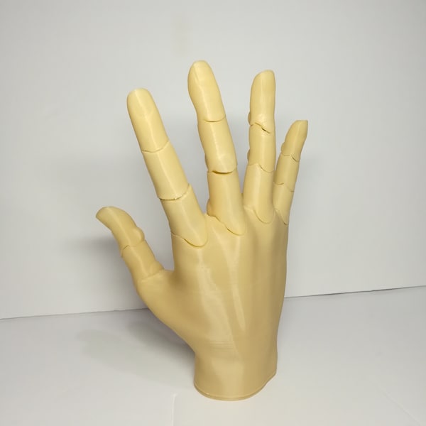 3d Printed SMALL Kids Hand Jointed Movable posable sign fist life size severed scary hand maneqin body parts