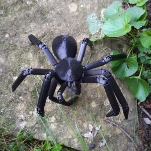 Articulated Spider Tarantula Ball Jointed BJD Movable Spaceman Hanuš