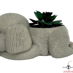 May include: A gray ceramic planter shaped like a dog, with a green succulent plant inside. The planter is designed to look like a dog lying down, with its head resting on its paws.