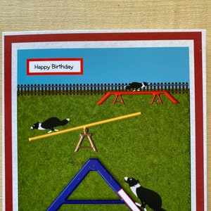 Agility-Kontakte