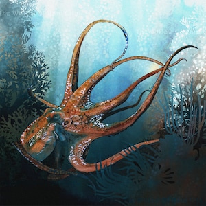 Colourful Octopus watercolor painting print by Andrea Fryett, art, animal, illustration, home decor, Nursery, gift, Wildlife, wall art