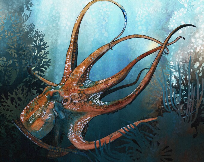 Colourful Octopus watercolor painting print by Andrea Fryett, art, animal, illustration, home decor, Nursery, gift, Wildlife, wall art