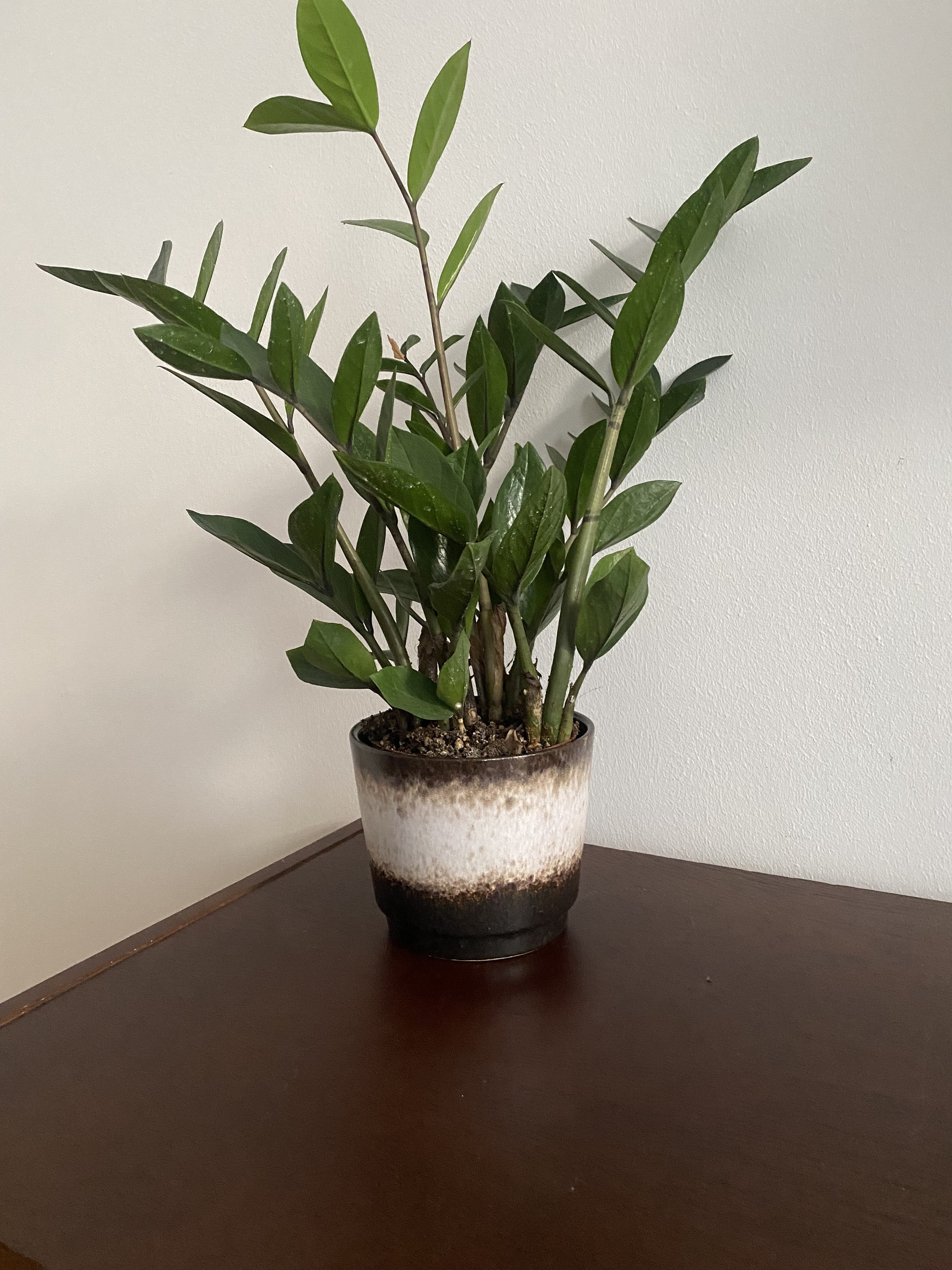 Fat lava planter - Etsy 日本 Fat lava planter - Etsy 日本