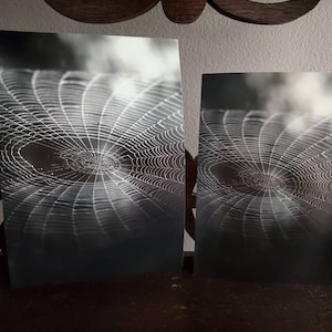 Spiderweb print; Spider web; Cobweb; Gothic home; Nature photography; Spiderweb art; Spiderweb photo; Spiderweb photography; Dark style