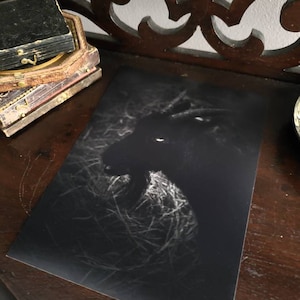 Black Phillip print; The Witch; The Witch movie; Dark art; Dark photography; Spooky decor; Wouldst thou like to live deliciously?