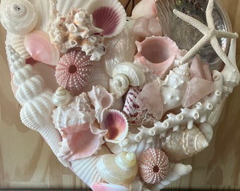 Muschel Herz in Pink
