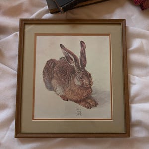 May include: Framed vintage print of a brown hare, dated 1503, with long ears and detailed fur. The artwork is set within a gold-toned wooden frame and a neutral-toned mat.