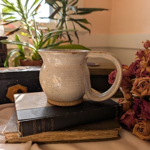 May include: A handmade ceramic mug with a rounded body and a large handle. The mug is a speckled beige color with a darker brown base. It sits on top of a stack of old books. Dried roses and a houseplant are in the background.