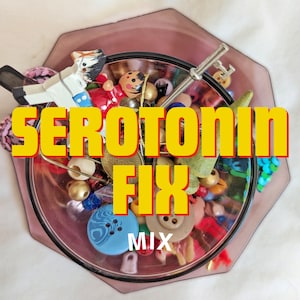 May include: A glass jar filled with colorful beads, buttons, and trinkets. The jar is labeled "SEROTONIN FIX MIX".