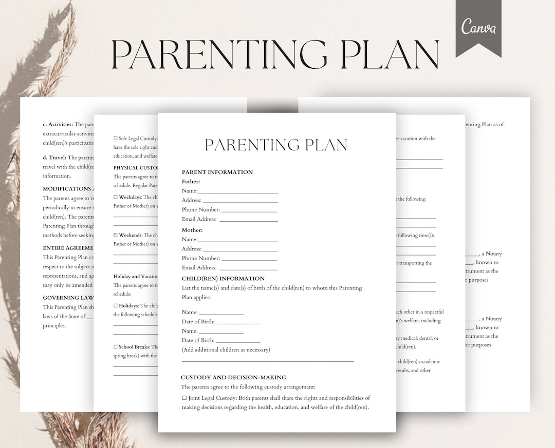 Information on 2024 joint custody